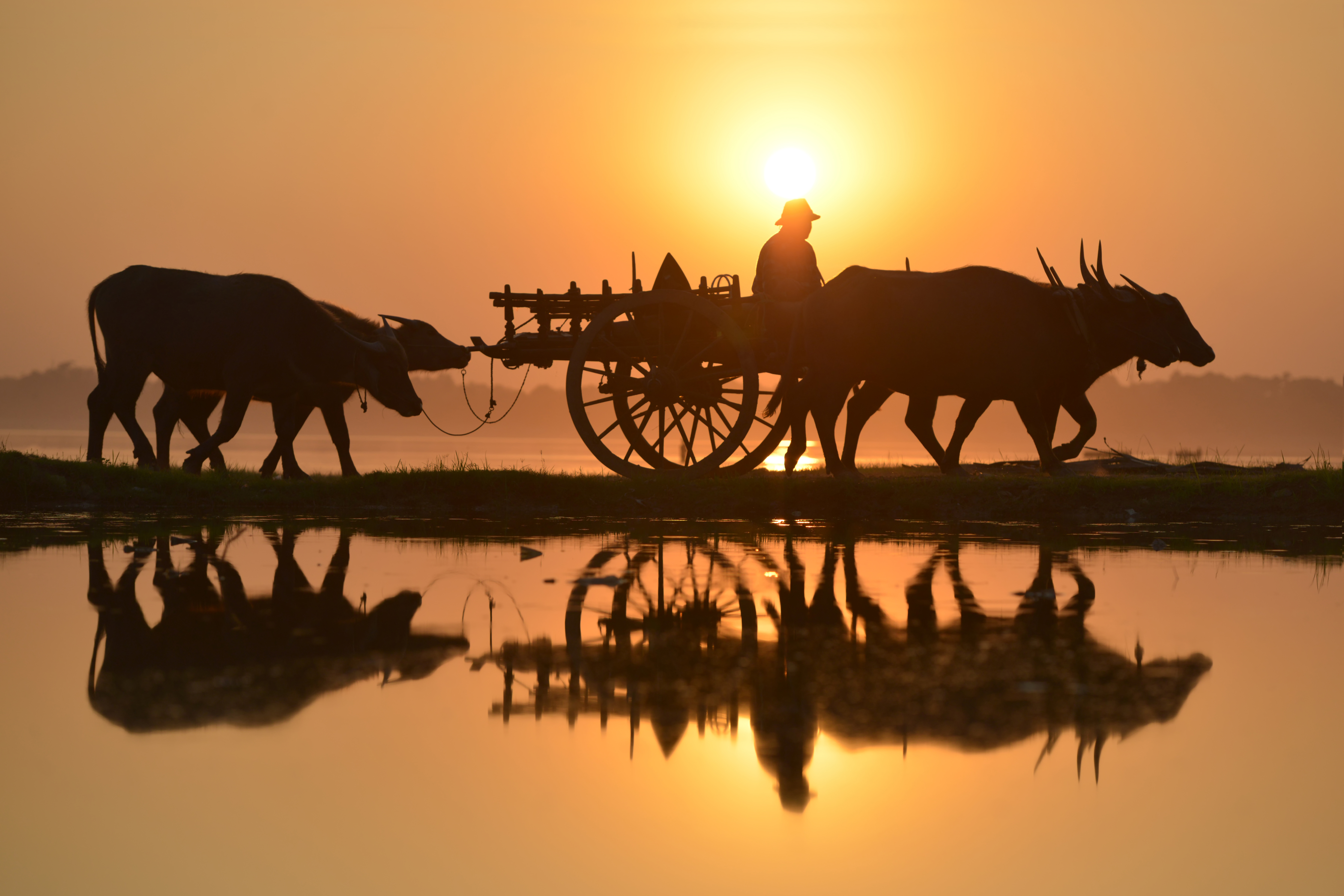 46 in Myanmar, 2026 — photograph by Sarawut Intarob
